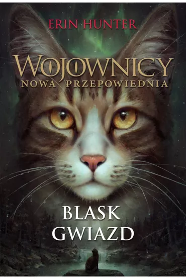 Blask gwiazd. Wojownicy. Nowa przepowiednia. Tom 4 - Erin Hunter