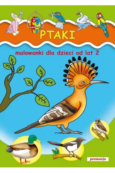 Ptaki malowanki dla dzieci od lat 2 - Patrycja Gazda, Zbigniew Dobosz