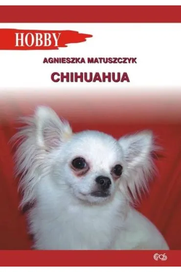 Chihuahua - Agnieszka Matuszczyk