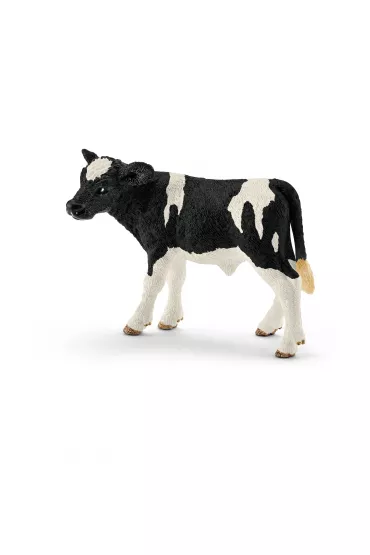 Ciel� rasy Holstein
