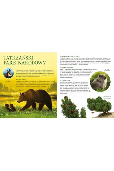 Parki narodowe. Symbole polskiej przyrody - Hanna Bdkowska