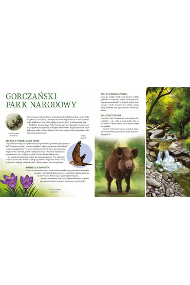Parki narodowe. Symbole polskiej przyrody - Hanna Bdkowska