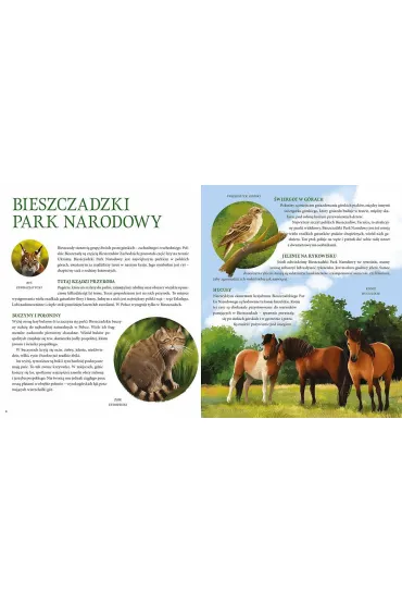 Parki narodowe. Symbole polskiej przyrody - Hanna Bdkowska