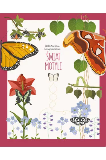 �wiat motyli