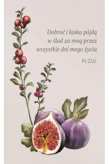 Szaron Magnes na lod�wk� - Dobro� i �aska
