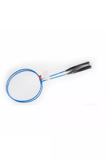 Badminton Swede