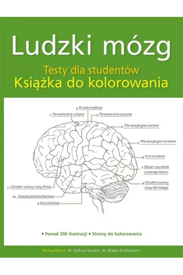 Ludzki m�zg. Testy dla student�w