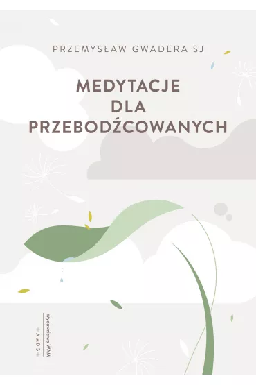 Medytacje dla przebod�cowanych - Przemys�aw  Gwadera Sj