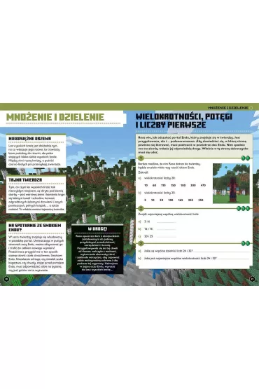 Minecraft. Matematyka. Megazadania 12+ - Katherine  Pate, Dan  Lipscomb