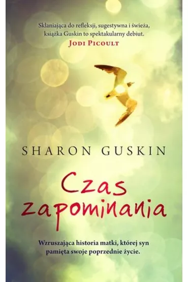 Czas zapominania - Sharon Guskin