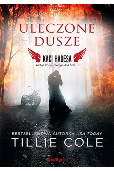 Uleczone dusze. Kaci Hadesa. Tom 3 - Tillie Cole