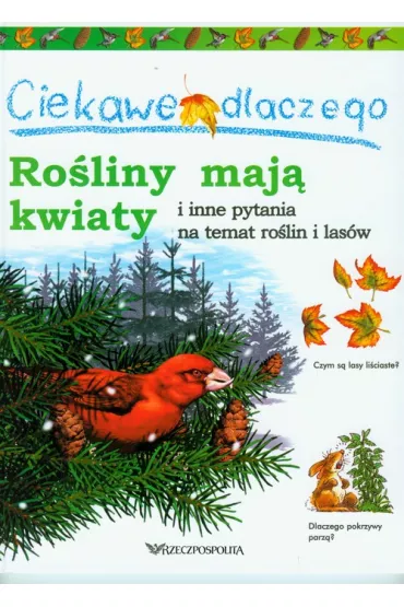 Ciekawe dlaczego ro�liny maj� kwiaty i inne pytania na temat ro�lin i las� - Andrew Charman, Jackie Gaff