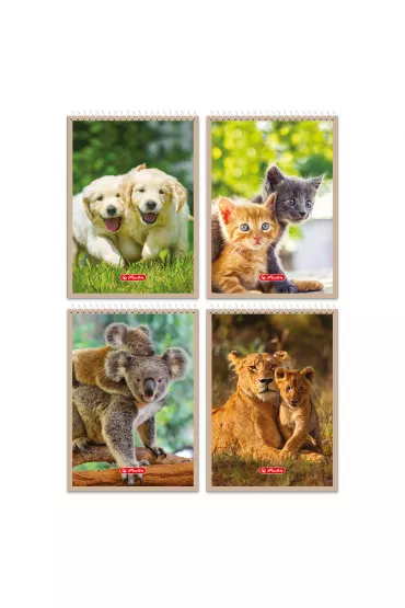 Herlitz Ko�onotatnik A7 Animals mix kratka 40 kartek