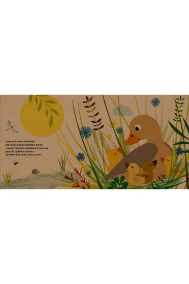 Moja ma�a kaczuszka - Britta Teckentrup, Ma�gorzata  S�abicka