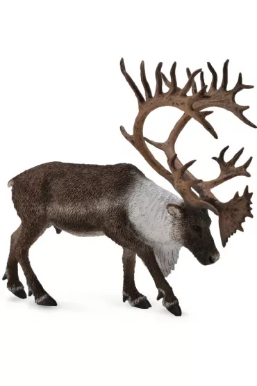 Renifer Woodland Caribou