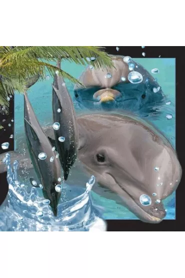 Worth Keeping Poczt�wka 3D Delfin