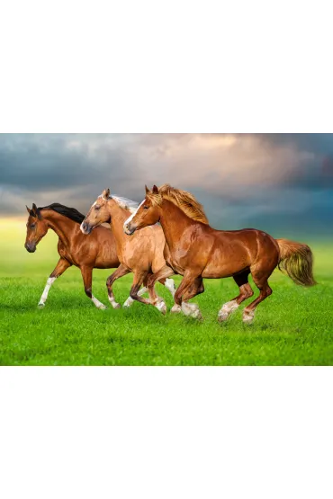 Puzzle 500 el. Horses in Spring Rush Castorland