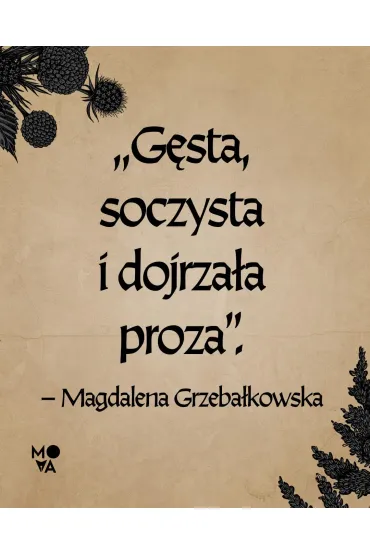 Szarlatanka - Izabela Meyza