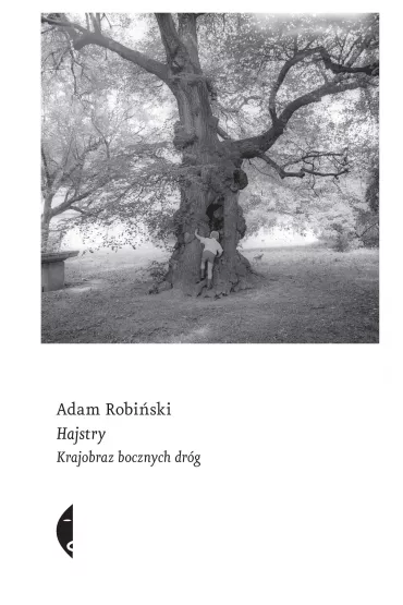 Hajstry. Krajobraz bocznych dr�g - Adam Robi�ski