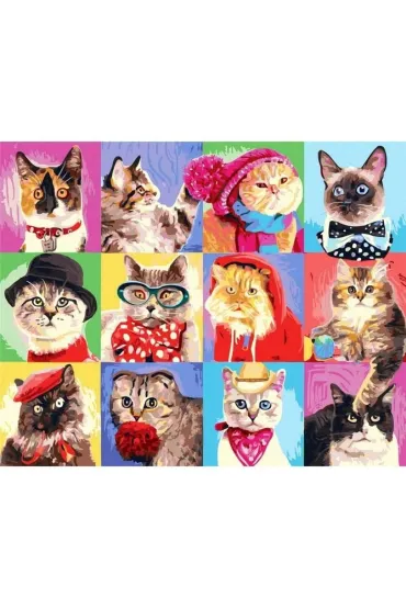 Twoje Hobby Malowanie po numerach - R�ne koty 40x50cm