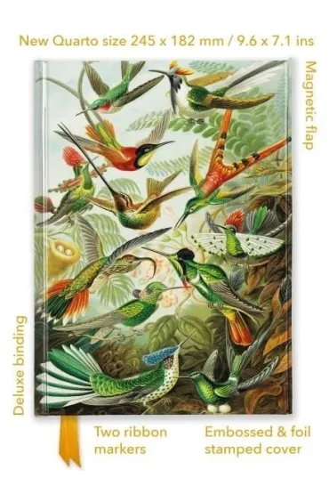 Flame Tree Notatnik quatro Kolibry Ernst Haeckel linia