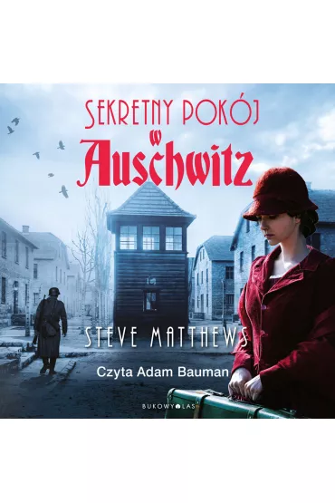 Audiobook Sekretny pok�j w Auschwitz mp3 - Steve  Matthews