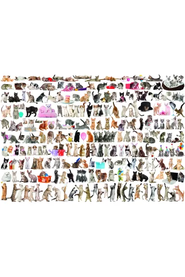 Puzzle 2000 el. The World of Cats Eurographics