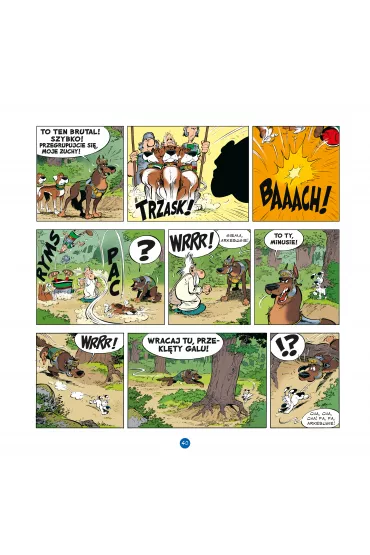 W tej dzielnicy �adnej �aciny. Idefiks i Nieugi�ci. Tom 1 - J�r�me Erbin, Matthieu Choquet, Yves  Coulon