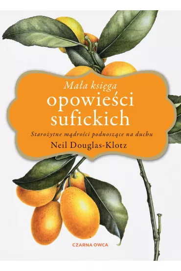 Ma�a ksi�ga opowie�ci sufickich. Staro�ytne m�dro�ci podnosz�ce na duchu - Neil Douglas-Klotz