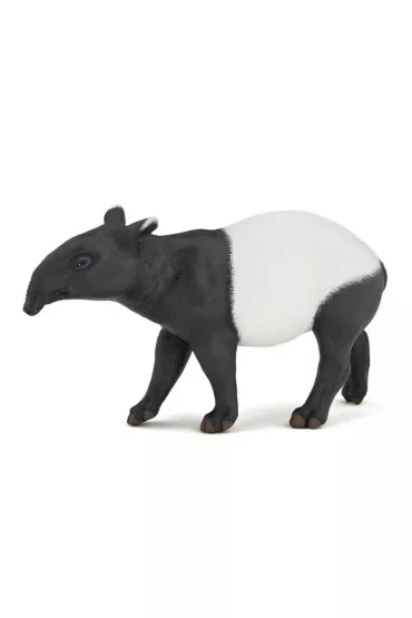Tapir