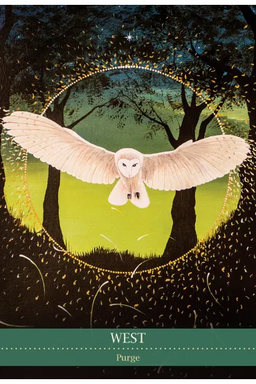 Shamanic Medicine, karty do wr�enia