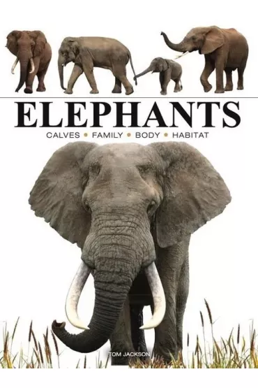 Elephants - Tom Jackson