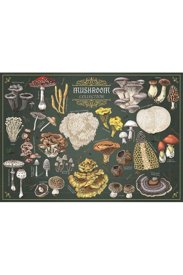 Puzzle 500 Premium Plus Grzyby Trefl
