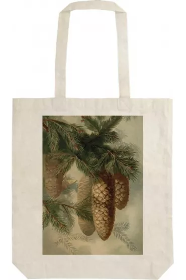 Skona Ting Torba bawe�niana STBAG 56 Szyszki jod�y