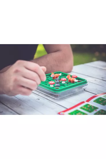 Smart Games. Hop Do Norki (PL) IUVI Games