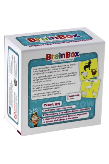 BrainBox. Poznaj� kolory Rebel - Wyatt Gary