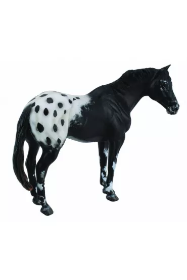 Collecta Ogier Rasy Appaloosa Kary Rozmiar XL