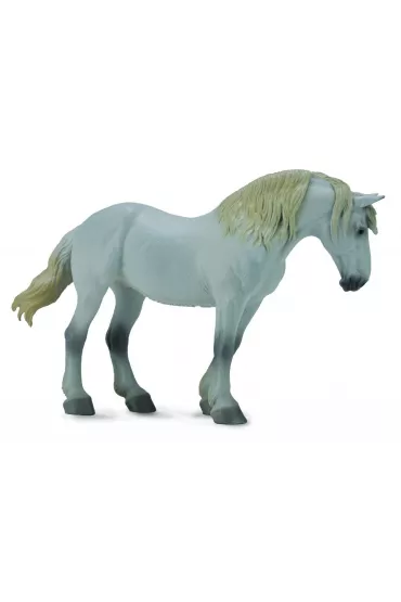 Klacz rasy Percheron Mare Grey