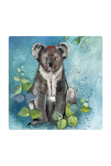 Alex Clark Magnes FM209 Koala