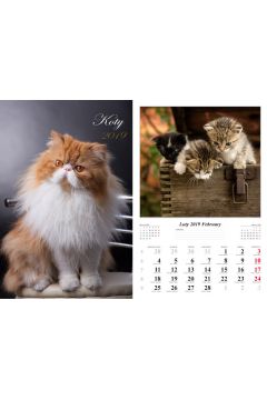 Kalendarz 2019 wieloplanszowy Koty