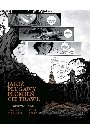 Somna - Becky  Cloonan, Tula Lotay