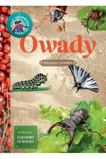 M�ody Obserwator Przyrody. Owady - Robert J Dzwonkowski