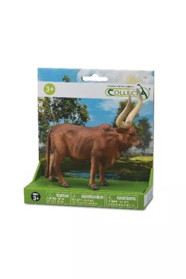 Byk Ankole-Watusi