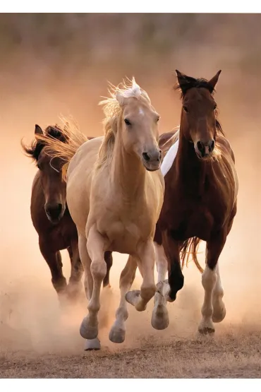 Puzzle 1000 el. Running horses Clementoni