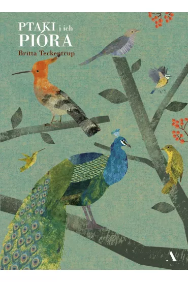 Ptaki i ich pi�ra - Britta Teckentrup
