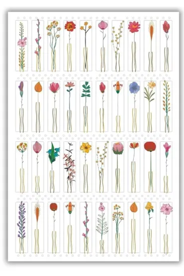 DaVinci Karnet 12x18cm + koperta Kwiaty z �odyg�