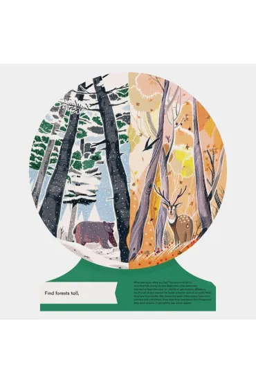 Our World. A First Book of Geography - Sue Lowell  Gallion