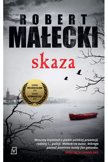 Skaza. Bernard Gross. Tom 1 (pocket) - Robert Ma�ecki