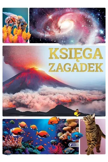 Ksi�ga zagadek