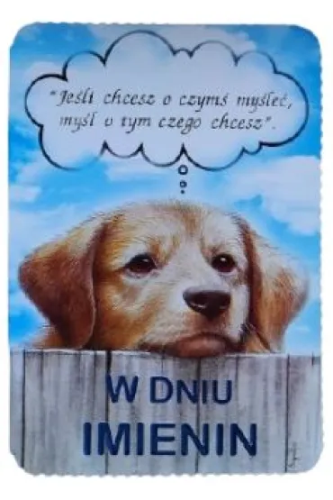 Karnet B6 Imieniny piesek lub myszka
